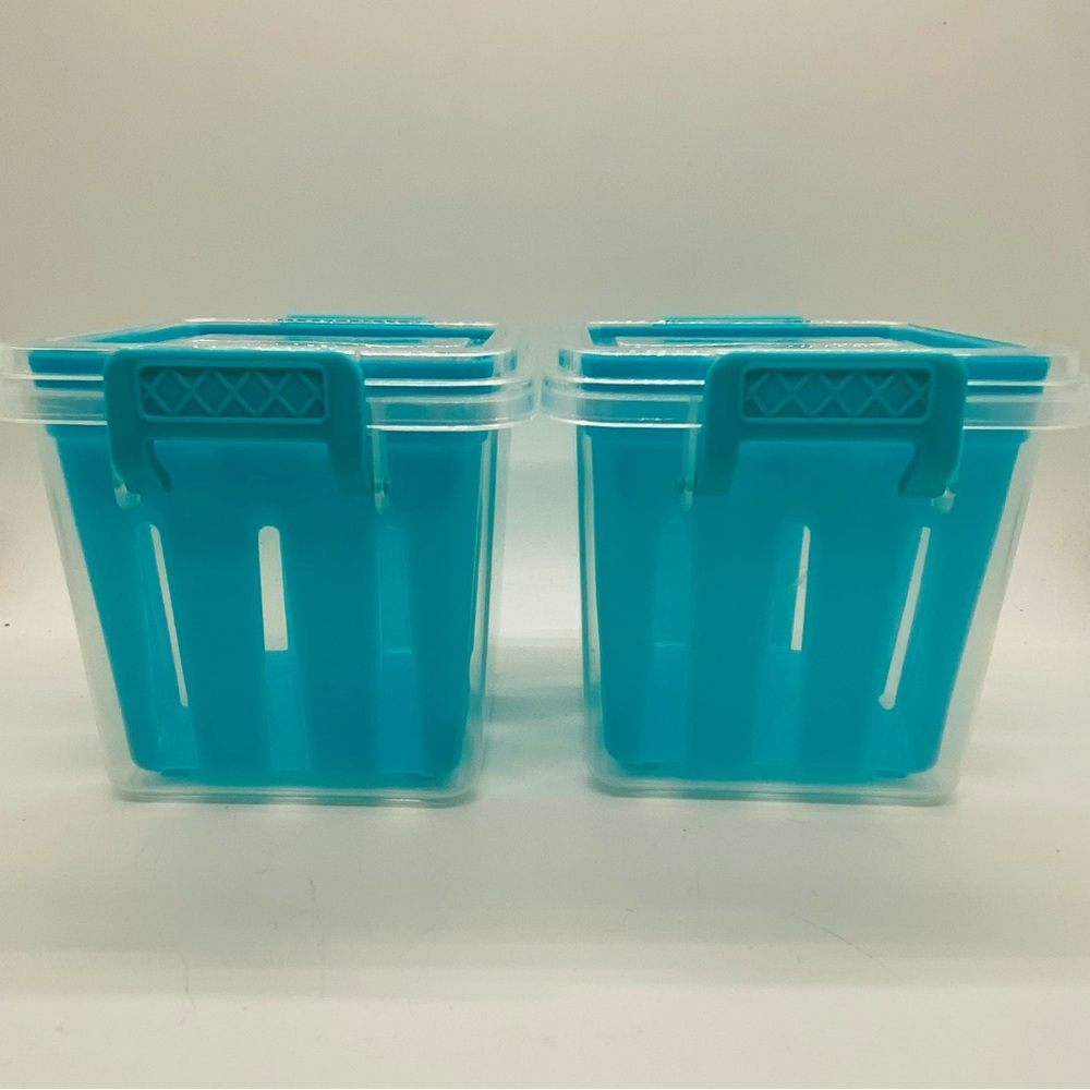 NWOT Two Square Storage Washed Fruit Containers